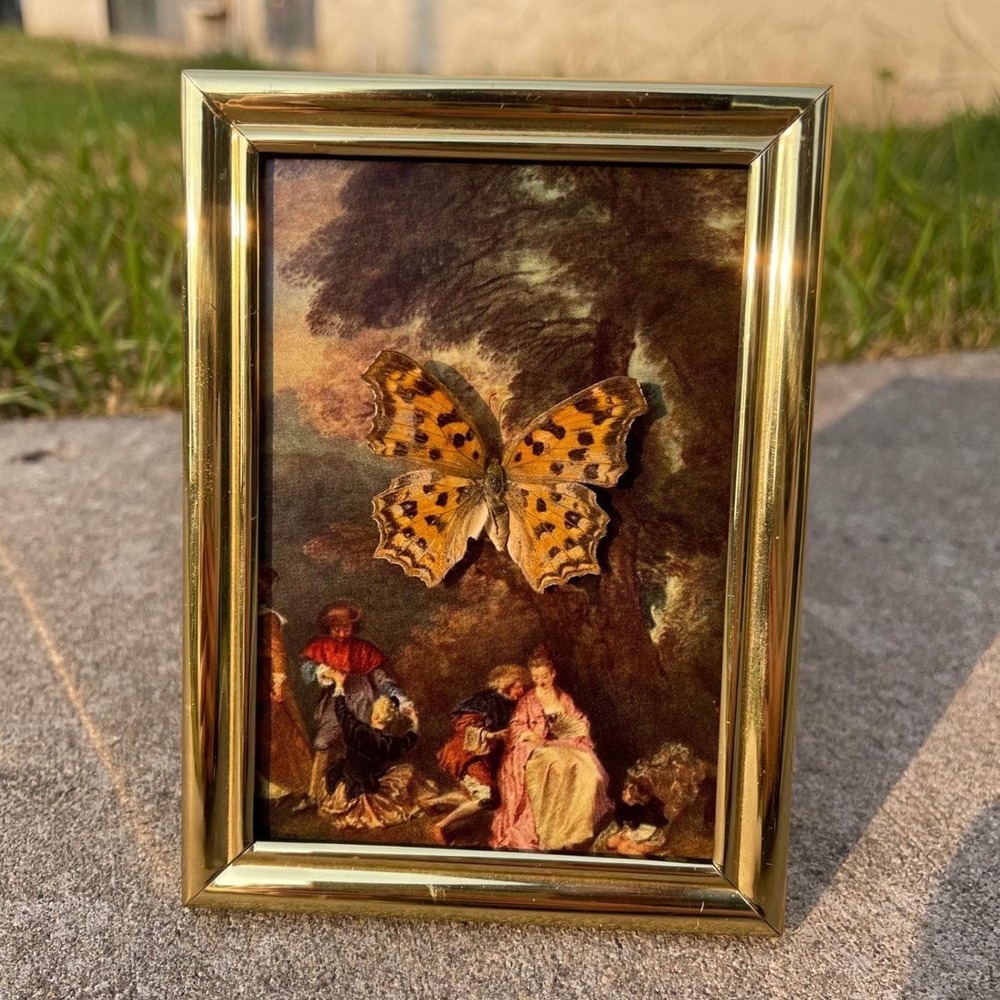VTG Framed Taxidermy Orange Tiger Comma Butterfly Floral Art Nouveau Gold Ornate